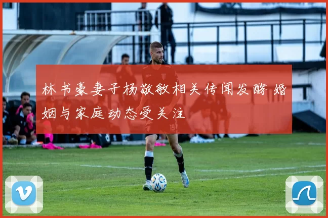 林书豪妻子杨敬敏相关传闻发酵 婚姻与家庭动态受关注