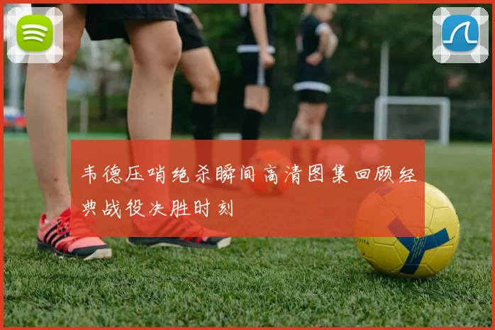 韦德压哨绝杀瞬间高清图集回顾经典战役决胜时刻