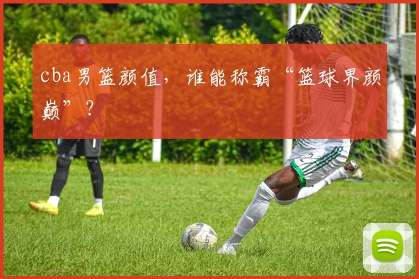 cba男篮颜值，谁能称霸“篮球界颜巅”？